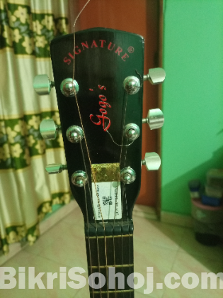 Signature Semi Electric Acoustic Guitar